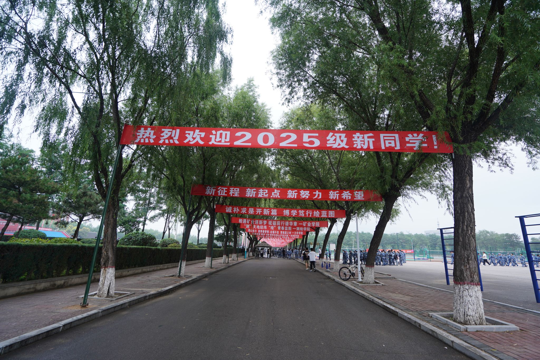 ed93018d1db1f33687c56ab5ce0d63c.jpg