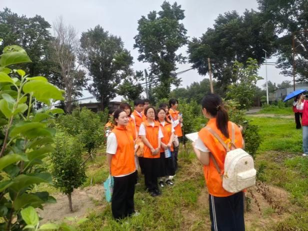 image22.jpeg